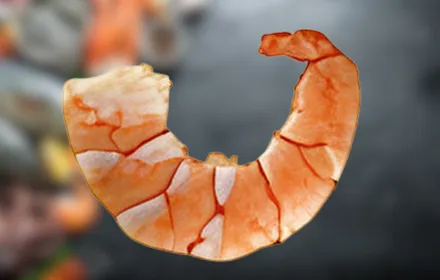 Camarón Cocido PPV sin cola