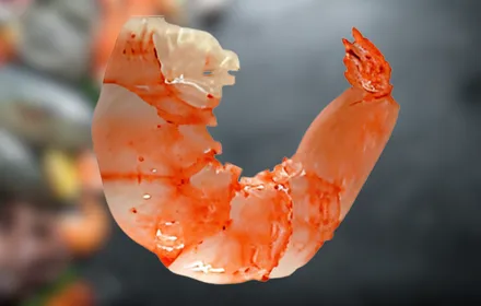 Camarón cocido PUD sin cola