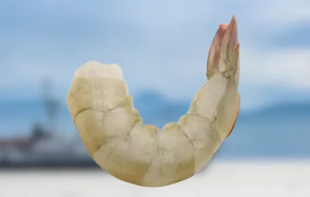 Camarón crudo P&D con cola