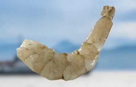 Camarón Crudo PUD sin cola