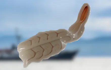 Camarón crudo mariposa con cola